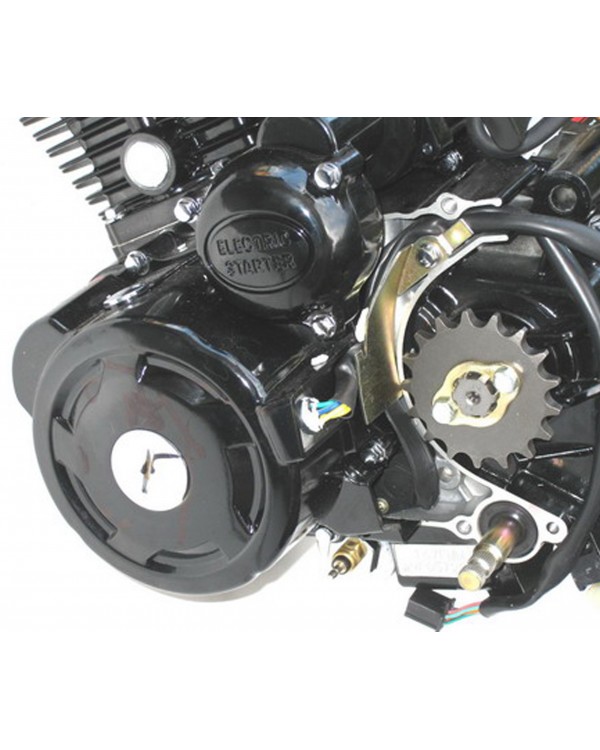 Original engine Assembly for SHINERAY 250 - 167FMM ATV