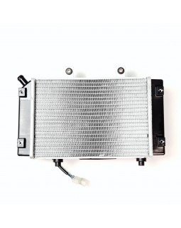 Оригинальный радиатор с вентилятором в сборе для ATV LUCKY STAR ACCESS BR, OUTBACK 400 - 4x4