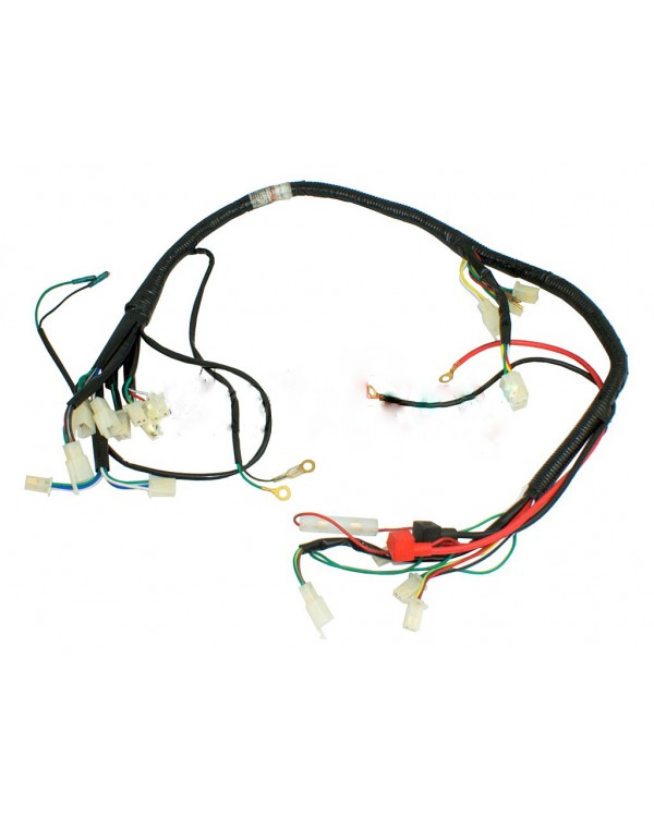 Original wiring harness for ATV KINGWAY 150