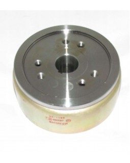 Оригинальное магнето для ATV BASHAN BS250S-5 с редуктором