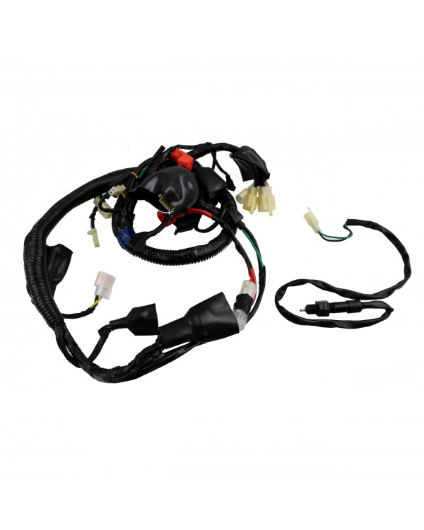 Wiring harness for ATV QUAD SHINERAY 150