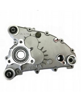 The original cover of the gearbox Assembly for DIABLO, FUXIN ATV (FXATV) 150