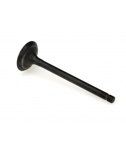 Original exhaust valve for snowmobile WIND 320 with KB178MN engine