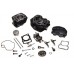 Cylinder and cylinder head Assembly for SHINERAY XY125-10D Kit