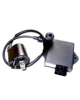 Ignition coil and CDI module for ATV LINHAI 260, 300