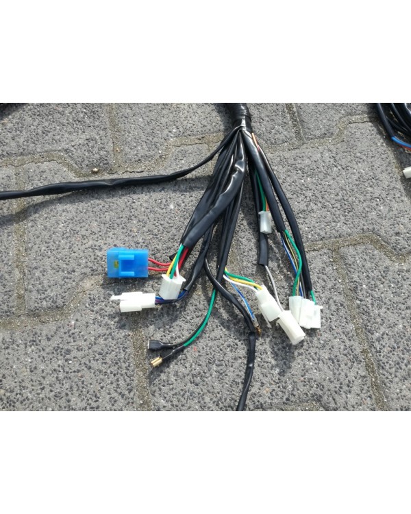Wiring harness for BUGGY 50, 70, 110