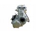Original engine Assembly for ATV LUCKY STAR ACCESS SP 450