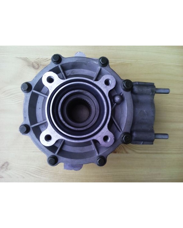 Reducer of the rear axle underneath the driveshaft for ATV BASHAN BS250S-5 ROMET