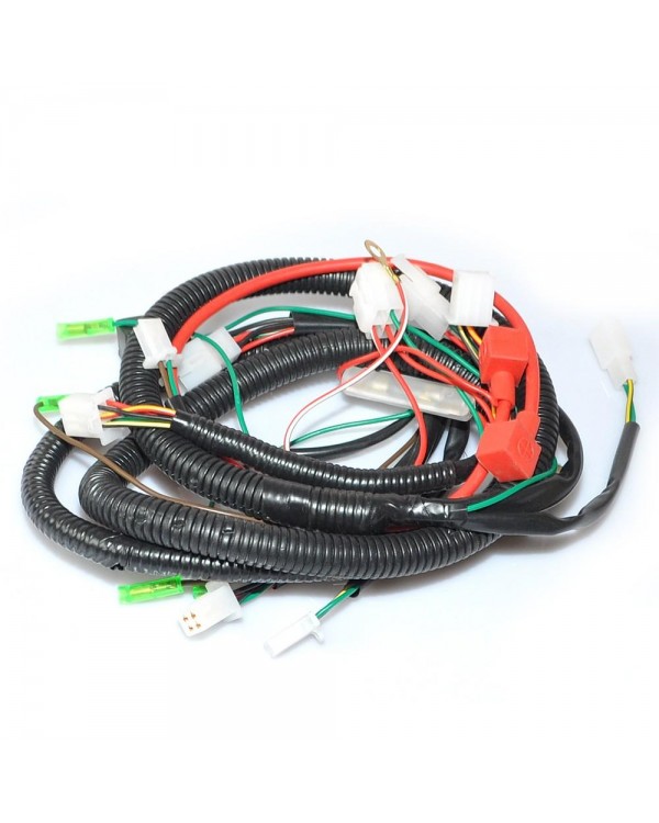 Original wiring harness for buggy FUXIN 50