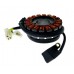 The generator stator assy for ATV 450 LUCKY STAR ACCESS SP