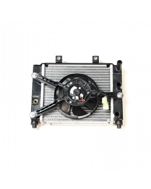 Оригинальный радиатор с вентилятором в сборе для ATV LUCKY STAR ACCESS SP 250, 300, 400