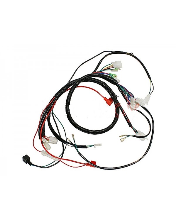 Wiring harness for ATV 150 GY DIABLO