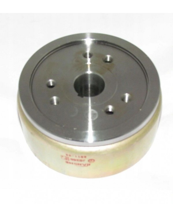 Оригинальное магнето для ATV BASHAN BS250S-5 с редуктором