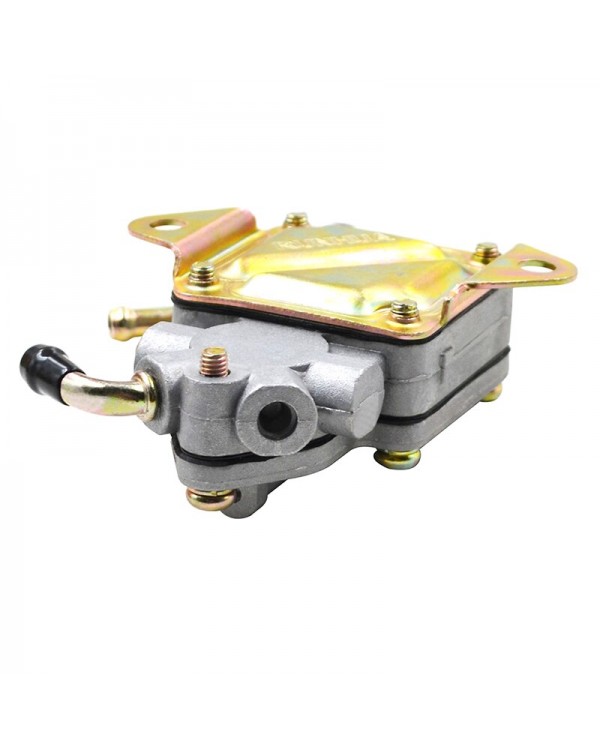 Original Fuel pump Assembly for ATV JINLANG 200 with FS1P73MN engine