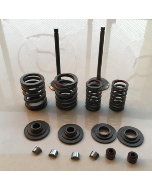 Original set of intake and exhaust valves for ATV BASHAN 400